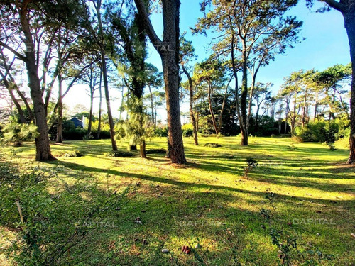 Imagen 6 de 6 de Espectacular Terreno En Playa Brava A Pocas Cuadras Del Mar - Punta Del Este Brava
