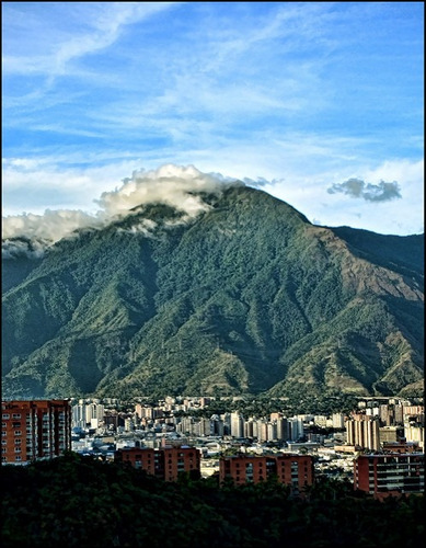 Gigantografias Fotomurales Vinilos Decorativos Venezuela
