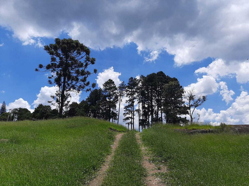Tenha Um Terreno Com Boa Área Para Construir Sua Chácara.