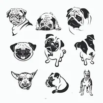 Comprar Calco Vinilo Sticker Calcomania Perro. Todas Las Razas. 