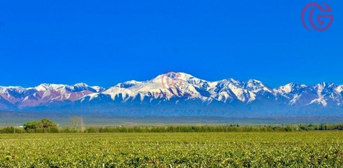 Imagen 2 de 5 de Greenwood Vende Excelente Finca, Con Derecho De Riego Y Agua De Pozo, Lista Para Cultivos.