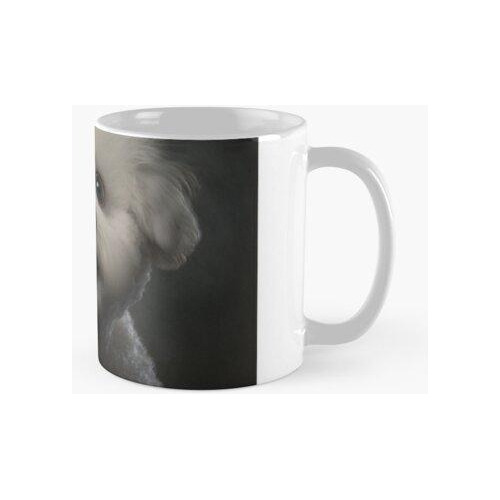 Taza Bichón Frisé De Mirada Sorprendida Calidad Premium