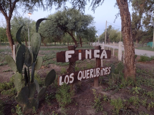 Vendo Propiedad De 5 Hectareas , Con Proyecto De Loteo , Incluye 2 Casas. Zona Inmejorable