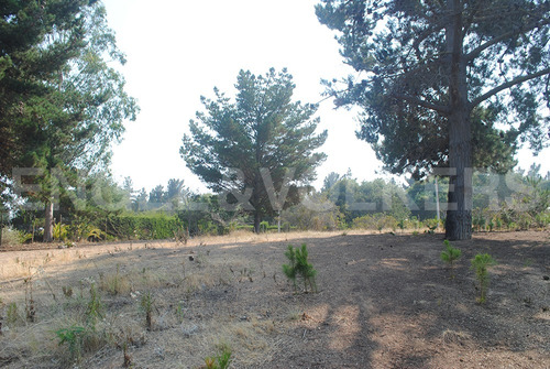 Terreno En Algarrobo