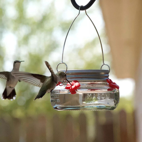 / Nature's Way Bird Products Mjf1 Mason Jar - Comedero Para