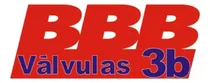 Comprar Kit Valvulas Grf 250 Excelente Calidad. Todomoto Cosquin