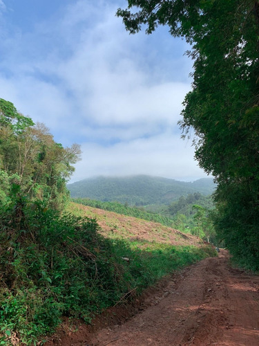 Imagem 8 de 14 de A26 Terreno Com Otima Negociação