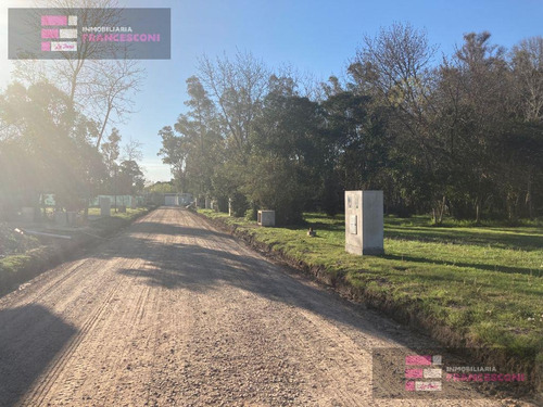 Imagen 8 de 16 de Terreno - Villa Elisa