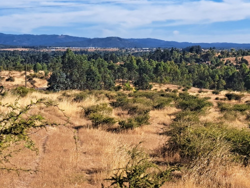 Terreno De 50.000 Mt2 / Cauquenes, Región Del Maule.