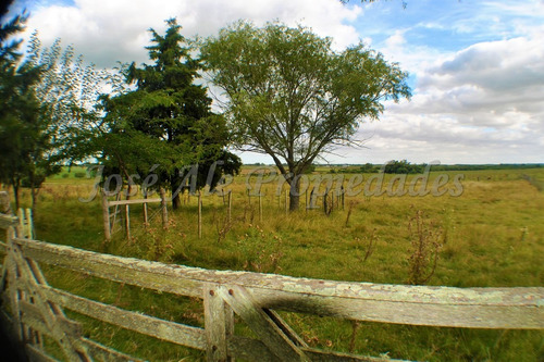 Imagen 14 de 14 de En Venta Campo De 137 Ha Colonia Del Sacramento
