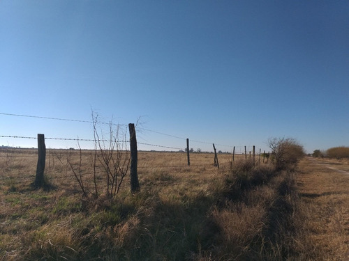 Imagen 3 de 13 de Vendo 90 Hectareas Ganaderas En Ucles, Cba