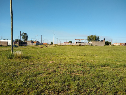 Lotes En Timbúes, Barrio Ioppolo,  De 10 X 50 Metros. Financiación De Hasta El 40%!!!