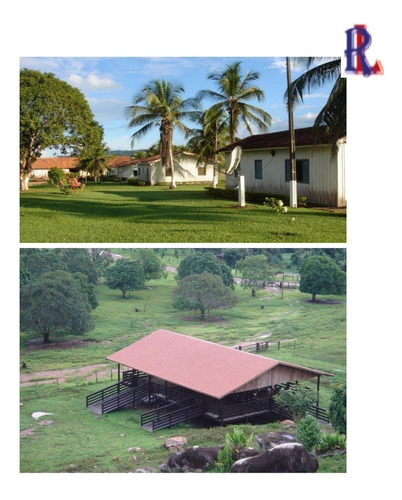Imagem 1 de 10 de Fazenda - Fa00008 - 70014280