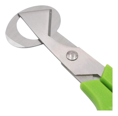 Y Cortador Huevos Codorniz Acero Inoxidable Pack 12 /56