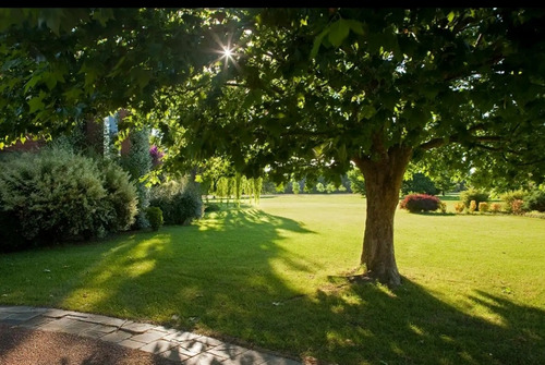 Imagen 3 de 13 de Oportunidad!! Dueño Vende Parcela En Jardín Del Pilar Oeste