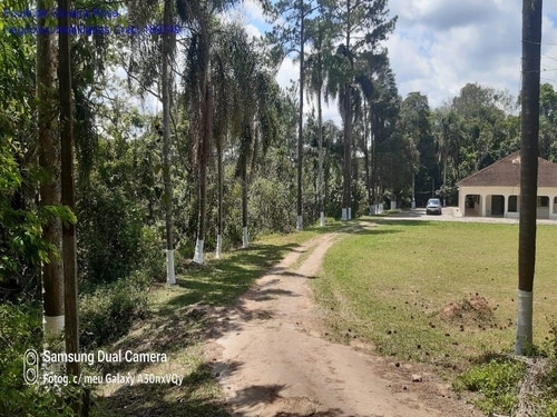 Imagem 10 de 23 de Chacara - Ch00038 - 70339824