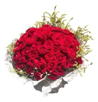 Comprar Ramo De Rosas - 50 Rosas - Flores A Domicilio
