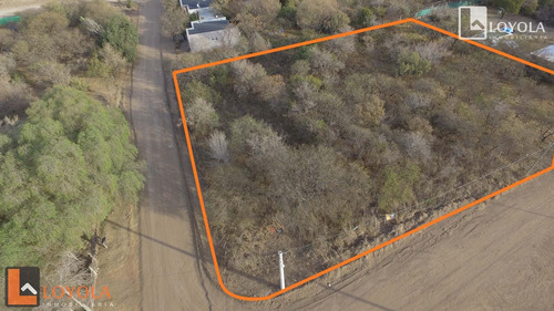 Imagen 4 de 9 de Hermoso Lote En Esquina Con Arboles De Gran Porte!!!!!!