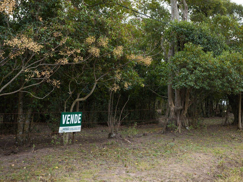 Imagen 11 de 13 de Lote | Mendoza