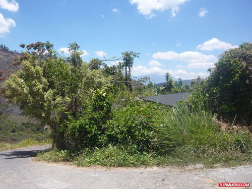 Imagen 5 de 10 de Best House Vende Terreno Pacheco San Antonio De Los Altos