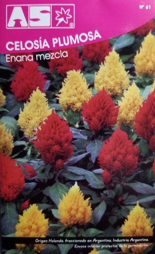 325 Semillas Celosia Plumosa Enana Mix Premium