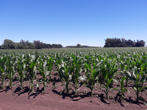 Imagen 3 de 5 de Venta - 5 Hectareas Con Excelente Ubicacion En Mar Del Plata -