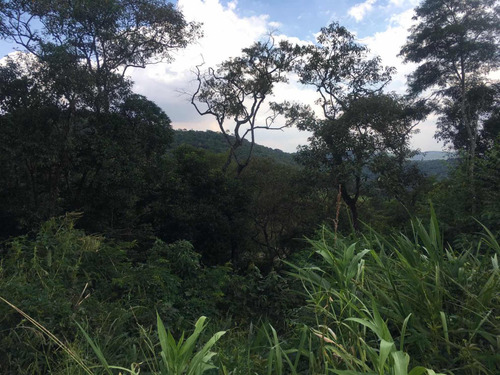 Terreno Com Escritura, Matrícula Chácaras Verdes - Mairiporã