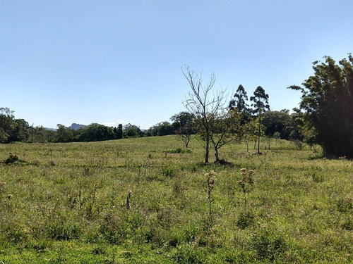 Chácara 20.000 M² - Costa Do Ipiranga - Gravataí - Rs - 1757 - 32430255