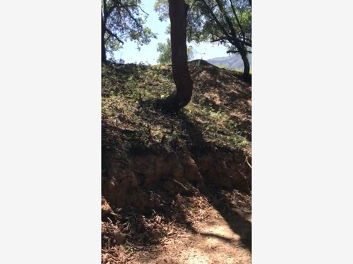Imagen 1 de 3 de Terreno En Venta En Campestre El Barro
