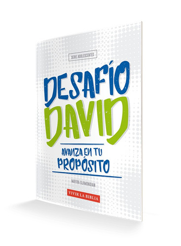 Imagen 1 de 1 de Material De Escuela Bíblica Adolescentes Desafío David