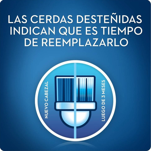 Imagen 8 de 10 de Oral B Repuesto Cepillo Electrico Cross Action X 2 Unidades