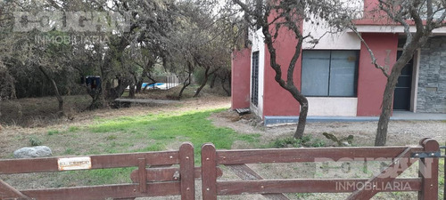 Imagen 4 de 29 de Casa - Carpinteria
