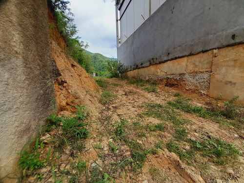 Imagen 19 de 30 de Terreno En Mampote Mls: 23-6747 (linda Sahhar)