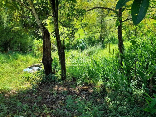 Imagem 3 de 4 de Terreno Em Rolantinho - 179152