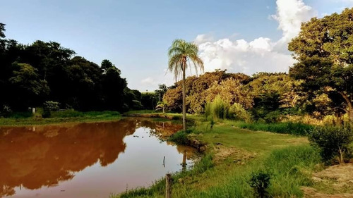 Imagem 7 de 24 de Chácara Em Fazenda Castelo, Boituva/sp De 35000m² 6 Quartos À Venda Por R$ 1.500.000,00 - Ch1888791-s