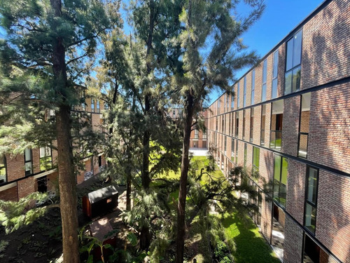 Imagen 6 de 24 de Venta Departamento Monoambiente - Condominio Patio (copa) - Moreno Norte