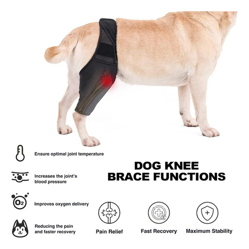 Rodillera Para Perros Para Patas Traseras Desgarradas