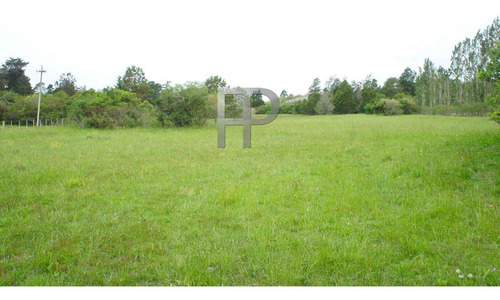 Imagen 7 de 10 de Campo En Venta Laguna Del Sauce 4 Hectáreas