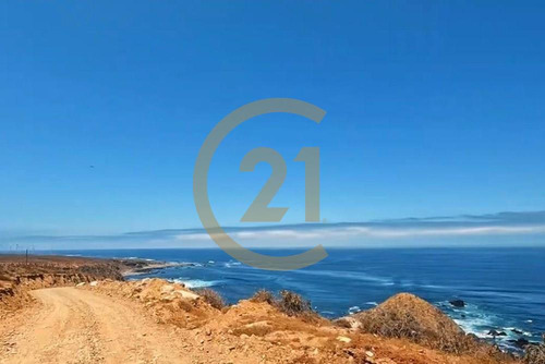 Hermosa Parcela Entre Tongoy Y Los Vilos.