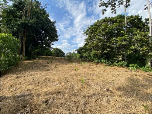 Lote En Venta Calarca- Vereda La Bella
