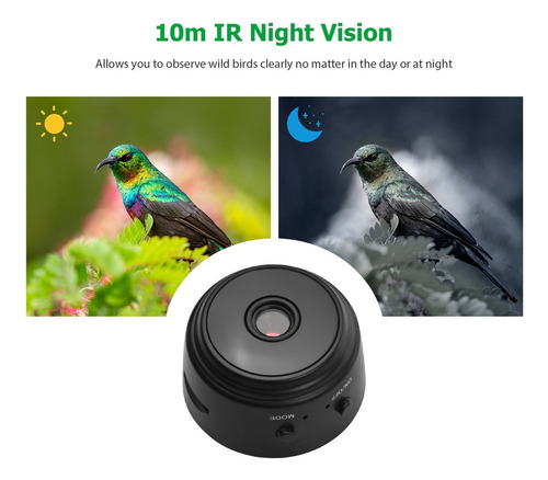 Visión De Cámara Web, Pájaros Con Ir Noche Despejada Afuera