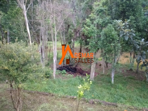 Imagem 11 de 14 de Chacara - Ch00126 - 70927876