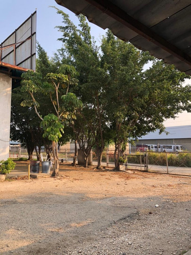 Imagen 4 de 14 de Venta Galpón Zona Industrial Castillito, San Diego, Carabobo