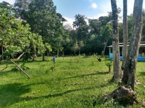 Imagem 4 de 8 de Chácara No Jardim Coronel, Em Itanhaém, Com 2.000 M² De Área Total, Aceita Entrada Mais Parcelas, Aceita Carro Como Parte De Pagamento Ref: 9579/ac
