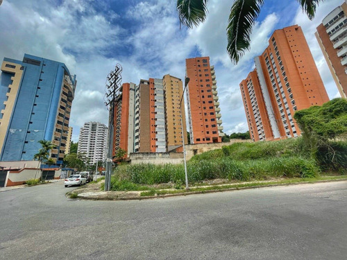 Imagen 10 de 14 de Terreno En Venta En El Bosque
