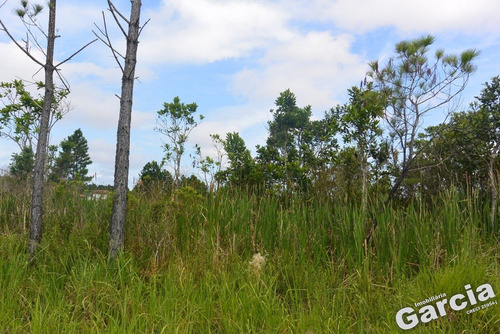 Imagem 2 de 3 de Terreno A Venda Em Peruíbe, Com 250m² - 5077 - 68997132