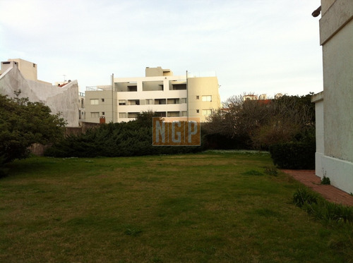 Imagen 3 de 12 de Chalet En La Peninsula Con Terreno De 1605 Mts2.
