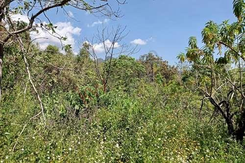 Terreno En Venta Denominado Xolatlaco, En Tepoztlán