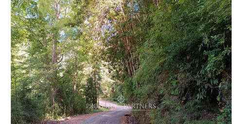 Casa Refugio En Reserva Biológica Huilo Huilo