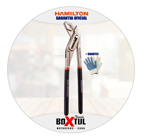 Pico De Loro Hamilton Apl100 10'' 250mm Apertura 4cm